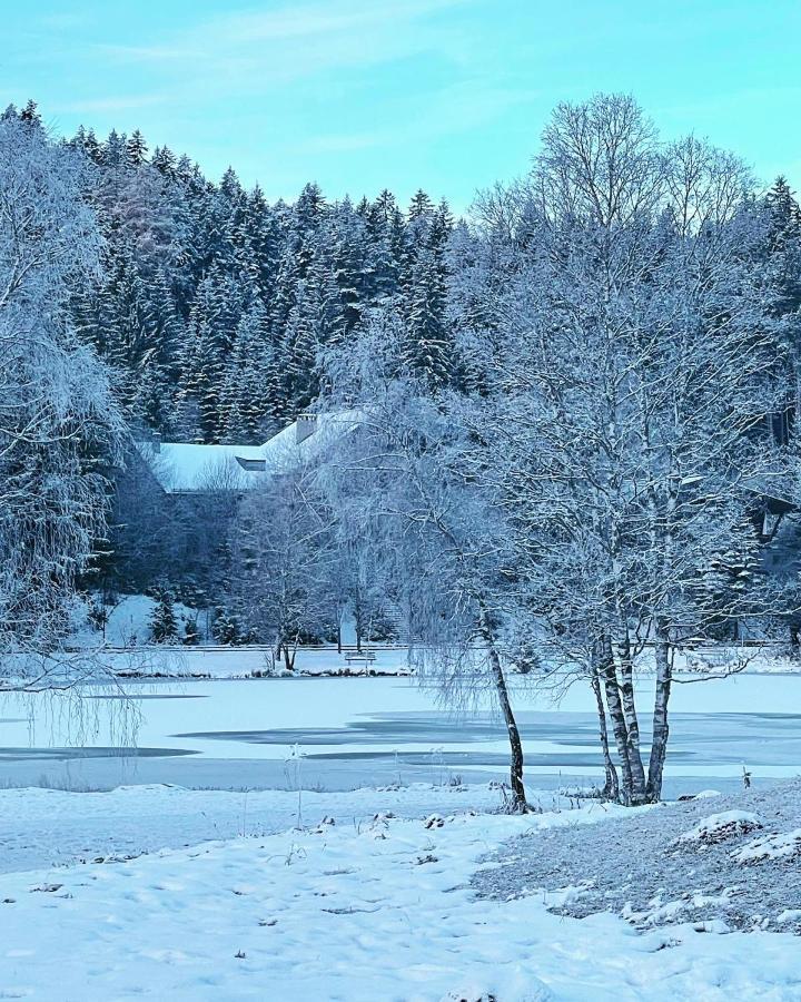 Lakeside Apartments Seefeld Seefeld w Tirolu Zewnętrze zdjęcie